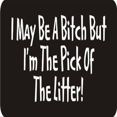 1080 Graphics 3 - I May Be A Bitch But I'm The Pick of The Litter! 1 1/4" x 3" Hard Hat Biker Helmet Stickers Bs253