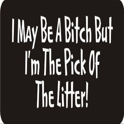 1080 Graphics 3 - I May Be A Bitch But I'm The Pick of The Litter! 1 1/4" x 3" Hard Hat Biker Helmet Stickers Bs253