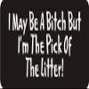1080 Graphics 3 - I May Be A Bitch But I'm The Pick of The Litter! 1 1/4" x 3" Hard Hat Biker Helmet Stickers Bs253 view 1