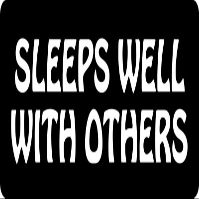 1080 Graphics 3 - Sleeps Well with Others Hard Hat/Biker Helmet Sticker BS 1033