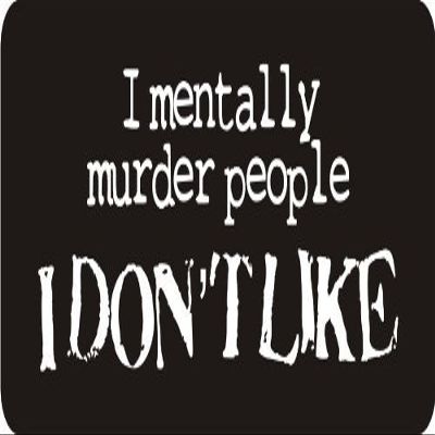 1080 Graphics 3 - I May Be Schizophrenic, But at Least I Have Each Other 1 1/4" x 3" Hard Hat Biker Helmet Stickers Bs255