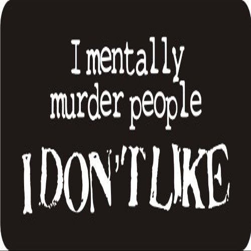 1080 Graphics 3 - I May Be Schizophrenic, But at Least I Have Each Other 1 1/4" x 3" Hard Hat Biker Helmet Stickers Bs255