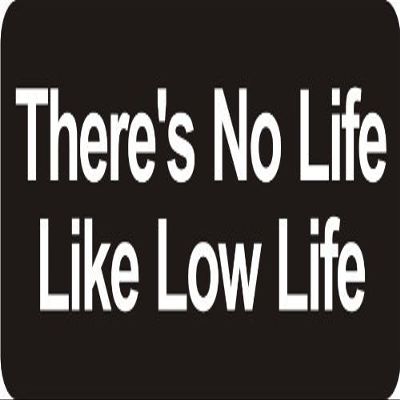 1080 Graphics 3 - There's No Life Like Low Life 1 1/4" x 3" Hard Hat Biker Helmet Stickers Bs547