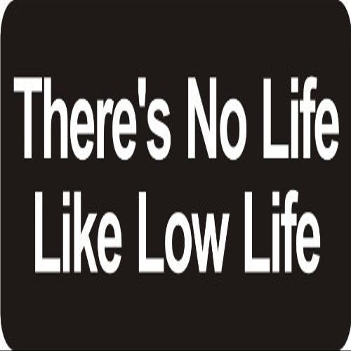 1080 Graphics 3 - There's No Life Like Low Life 1 1/4" x 3" Hard Hat Biker Helmet Stickers Bs547