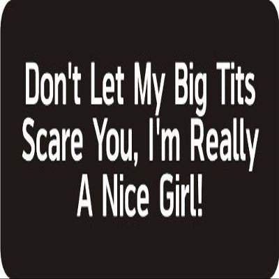 1080 Graphics 3 - Don't Let My Big Tits Scare You, I'm Really A Nice Girl! 1 1/4" x 3" Hard Hat Biker Helmet Stickers Bs126