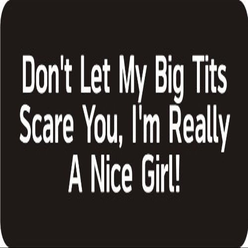 1080 Graphics 3 - Don't Let My Big Tits Scare You, I'm Really A Nice Girl! 1 1/4" x 3" Hard Hat Biker Helmet Stickers Bs126