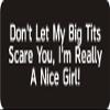 1080 Graphics 3 - Don't Let My Big Tits Scare You, I'm Really A Nice Girl! 1 1/4" x 3" Hard Hat Biker Helmet Stickers Bs126 view 1