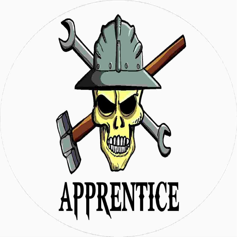 3 - Skull Apprentice 1.5" x 3" Hard Hat Stickers H390