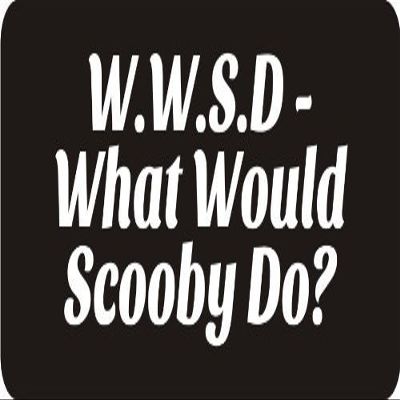 1080 Graphics 3 - W.W.S.D - What Would Scooby Do 1 1/4" x 3" Hard Hat Biker Helmet Stickers Bs565