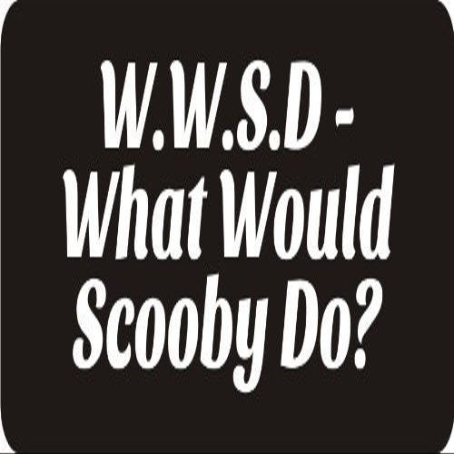 1080 Graphics 3 - W.W.S.D - What Would Scooby Do 1 1/4" x 3" Hard Hat Biker Helmet Stickers Bs565