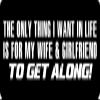 3 - The Only Thing I Want in Life Hard Hat/Biker Helmet Sticker BS 1085 view 1