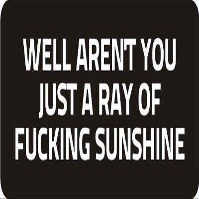3 - Well aren't You Just A Ray of Fu*King Sunshine 1 1/4" x 3" Hard Hat Biker Helmet Stickers Bs569