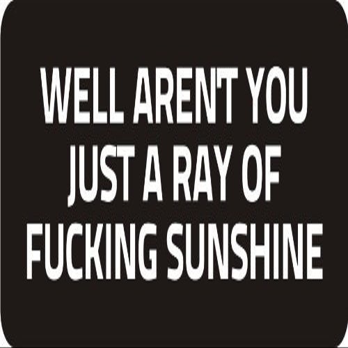 3 - Well aren't You Just A Ray of Fu*King Sunshine 1 1/4" x 3" Hard Hat Biker Helmet Stickers Bs569