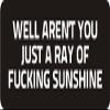 3 - Well aren't You Just A Ray of Fu*King Sunshine 1 1/4" x 3" Hard Hat Biker Helmet Stickers Bs569 view 1