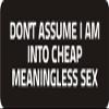 1080 Graphics 3 - Don't A$$Ume I Am Into Cheap Meaningless Sex 1 1/4" x 3" Hard Hat Biker Helmet Stickers Bs120 view 1