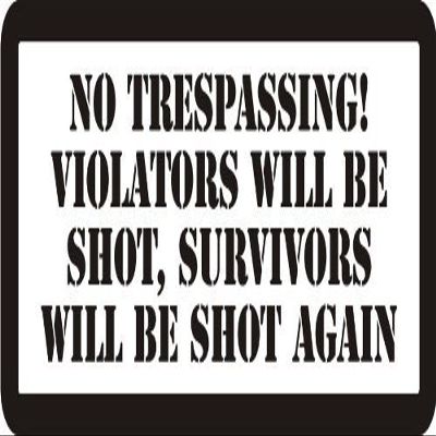 1080 Graphics 3 - No Trespassing! Violators Will Be Shot, Survivors Will Be Shot Again 1 1/4" x 3" Hard Hat Biker Helmet Stickers.