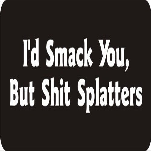 1080 Graphics 3 - I'd Smack You, But Shit Splatters 1 1/4" x 3" Hard Hat Biker Helmet Stickers Bs279