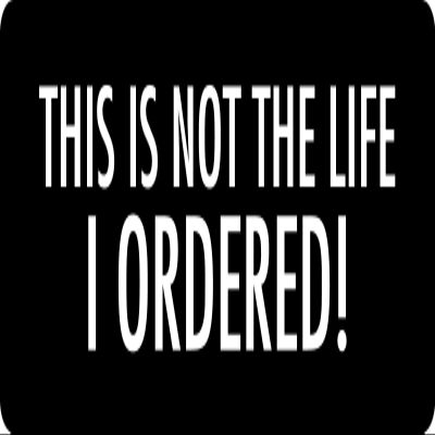 1080 Graphics 3 - This is Not The Life I Ordered Hard Hat/Biker Helmet Sticker BS 1099