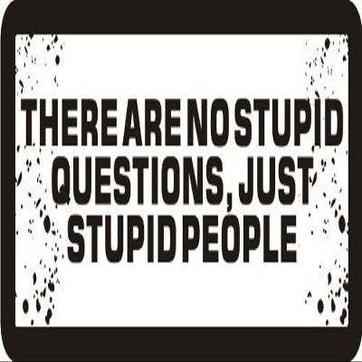 3 - There are No Stupid Questions, Just Stupid People 1 1/4" x 3" Hard Hat Biker Helmet Stickers Bs545