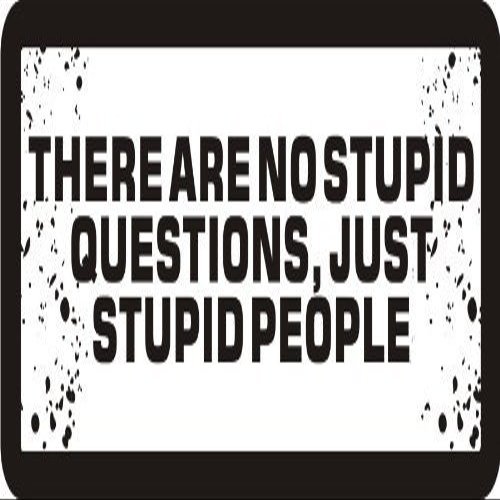 3 - There are No Stupid Questions, Just Stupid People 1 1/4" x 3" Hard Hat Biker Helmet Stickers Bs545