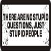 3 - There are No Stupid Questions, Just Stupid People 1 1/4" x 3" Hard Hat Biker Helmet Stickers Bs545 view 1