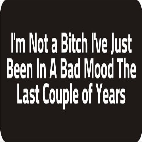 1080 Graphics 3 - I'm Not A Bitch I've Just Been in A Bad Mood The Last Couple of Years 1 1/4" x 3" Hard Hat Biker Helmet Stickers...