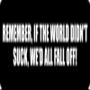 1080 Graphics 3 - Remember, If The World Didn't Suck Hard Hat/Biker Helmet Sticker BS 1194 view 1
