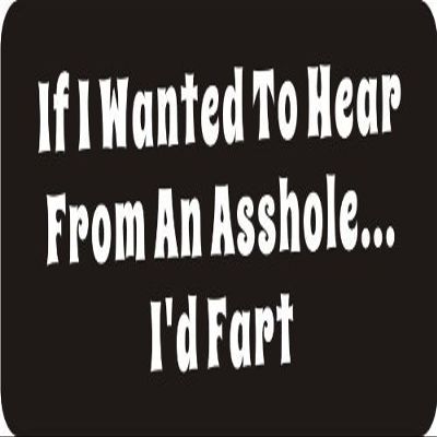 1080 Graphics 3 - If I Wanted to Hear from an A$$Hole.I'd Fart 1 1/4" x 3" Hard Hat Biker Helmet Stickers Bs287