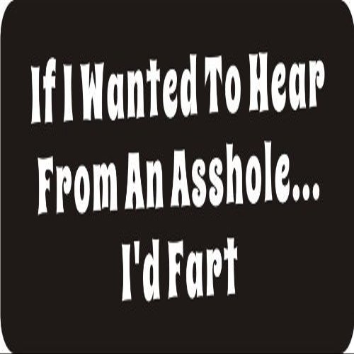 1080 Graphics 3 - If I Wanted to Hear from an A$$Hole.I'd Fart 1 1/4" x 3" Hard Hat Biker Helmet Stickers Bs287