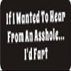 1080 Graphics 3 - If I Wanted to Hear from an A$$Hole.I'd Fart 1 1/4" x 3" Hard Hat Biker Helmet Stickers Bs287 view 1