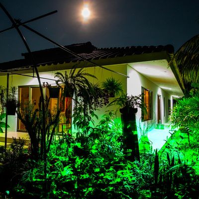 ELEOPTION Waterproof Rotating Led Night Projector Light with Double Colors Flame Lightnings Indoor Outdoor for Bedroom House Party Festival Decorations (Green+Red)