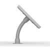 VidaMount Light Grey Home Button Covered Enclosure and Flexible Desk/Wall Surface Mount [Bundle] Compatible with iPad 2/3/4 view 4