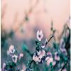 LomoChrome Turquoise view 4