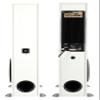 Rockville TM80W Powered Home Theater Tower Speaker System, White, 800W, 8" Subwoofers, Bluetooth, USB/SD Playback, FM Radio, Remote Control, Karaoke Ready, Perfect for Home Entertainment view 4