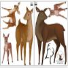 Deer Woodland Forest Animals Kids Wall Decals -Baby Nursery Toddler Room Wall Decor Boys & Girls Wall Stickers, Bedroom Decoration DIY Decor (Deer) view 2