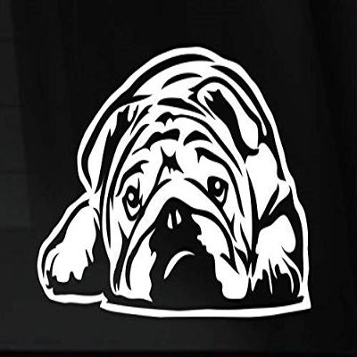 Bulldog Napping Cute Die Cut Vinyl Decal Sticker for Car Truck Laptop Window Helmet (White, 6")