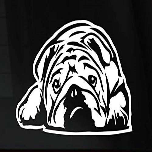 Bulldog Napping Cute Die Cut Vinyl Decal Sticker for Car Truck Laptop Window Helmet (White, 6")