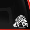 Bulldog Napping Cute Die Cut Vinyl Decal Sticker for Car Truck Laptop Window Helmet (White, 6") view 2