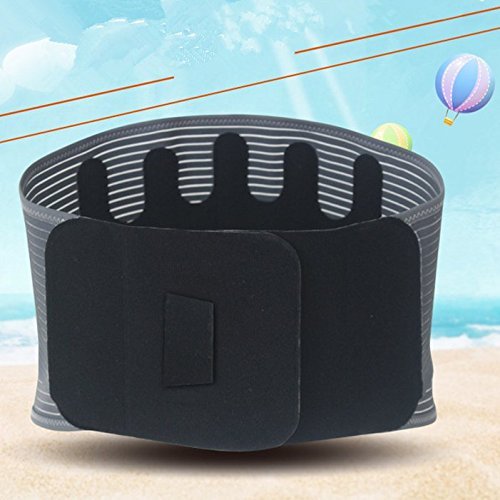 Delux Medical Back Support Belt with 3 Back Pads for Back Pain Waist Support Corset Trimming Belly Fat and Slim Waist (Medium)