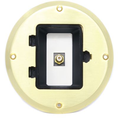 RiteAV 1 Port RCA for Subwoofer Audio Port Floor Box - Gold