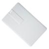 Custom Printed Business Card USB Flash Drive 100 PCs (2GB) view 3
