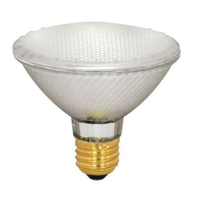 22 Satco S4131 Case of 15 S4131 Halogen Flood & Spot