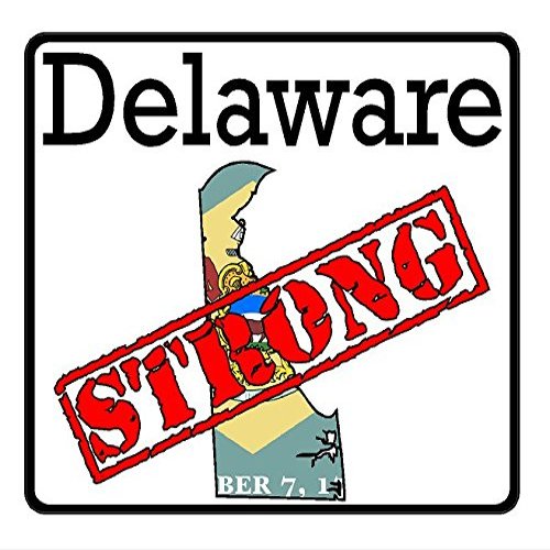 CustomDecal US Delaware State (K10) - Premium Strong Flag Vinyl Decal - American State Pride Sticker for Cars, Trucks, Windows, and Laptops - USA Flag Black and White Design - Waterproof 5''