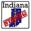 CustomDecal US Indiana State (K15) - Premium Strong Flag Vinyl Decal - American State Pride Sticker for Cars, Trucks, Windows, and Laptops - USA Flag Black and White Design - Waterproof 5'' view 1