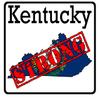 CustomDecal US Kentucky State (K18)- Premium Strong Flag Vinyl Decal - American State Pride Sticker for Cars, Trucks, Windows, and Laptops - USA Flag Black and White Design - Waterproof 5'' view 1