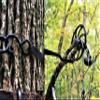 BWD Bow Hanger - ON Your Tree Faster Than Your Old Screw-in - Legal on All State and Federal Lands - 500 LB Rated Ratchet Strap and Heat Treated Steel - Black view 2