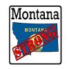 CustomDecal US Montana State (K27) - Premium Strong Flag Vinyl Decal - American State Pride Sticker for Cars, Trucks, Windows, and Laptops - USA Flag Black and White Design - Waterproof 5'' view 1