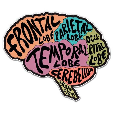 Brain - 5" Vinyl Sticker - for Car Laptop I-Pad - Waterproof Decal