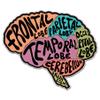 Brain - 5" Vinyl Sticker - for Car Laptop I-Pad - Waterproof Decal view 1