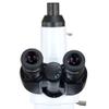 OMAX 40X-3000X 8MP USB3 Digital Infinity Plan LED Kohler Siedentopf Microscope w Quintuple Nosepiece view 4